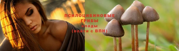 СК Лиски