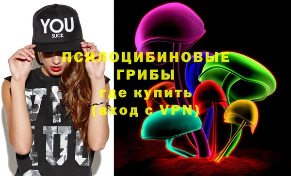 СК Лиски